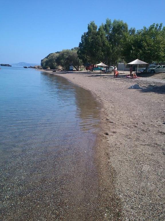Evoikos Beach & Resort Livanátai Zewnętrze zdjęcie