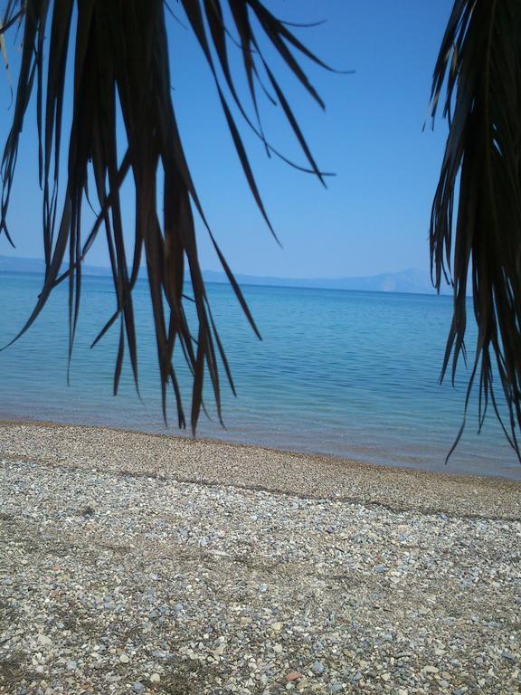 Evoikos Beach & Resort Livanátai Zewnętrze zdjęcie