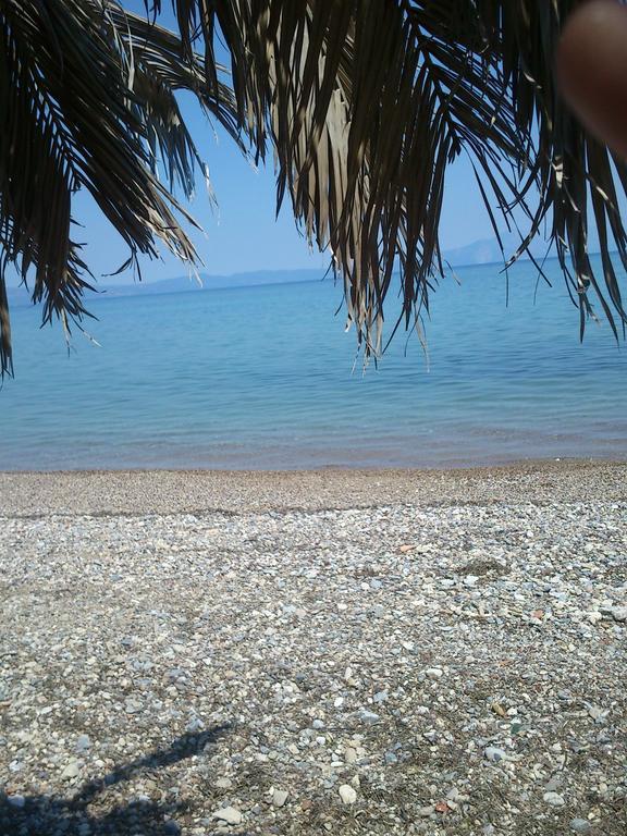 Evoikos Beach & Resort Livanátai Zewnętrze zdjęcie
