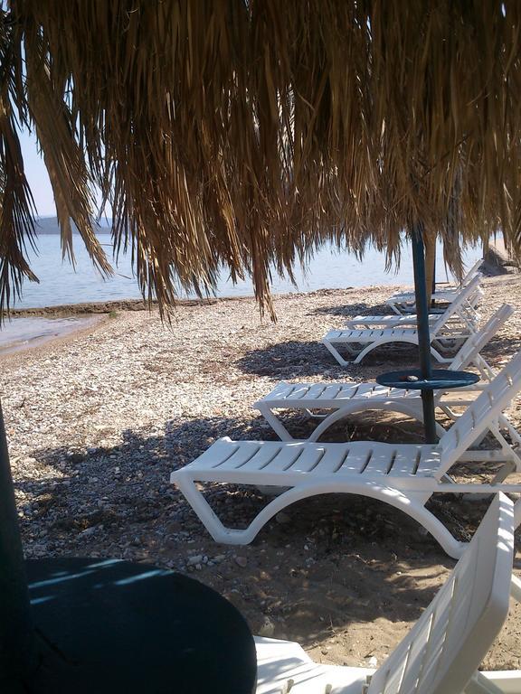 Evoikos Beach & Resort Livanátai Zewnętrze zdjęcie