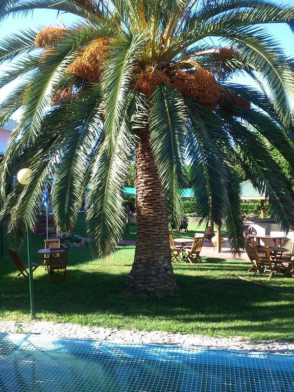Evoikos Beach & Resort Livanátai Zewnętrze zdjęcie